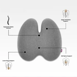 Engineered to Support Every Curve of Your Spine