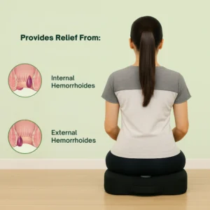 Comprehensive Support, Inside and Out