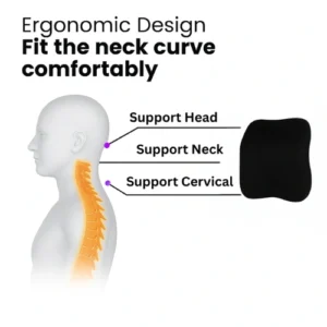 Perfect Curve Perfect Comfort