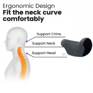 Because Comfort Deserves a Companion